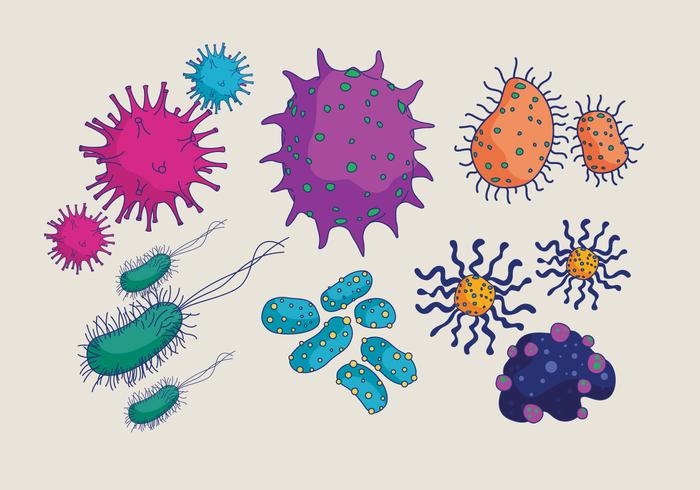 Bacterias y el vector del molde