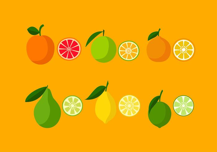 Various Orange Icon Set Free Vector