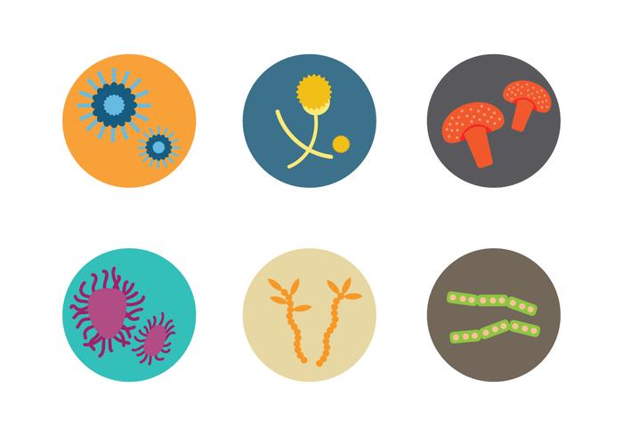 Mold Microscope Vector