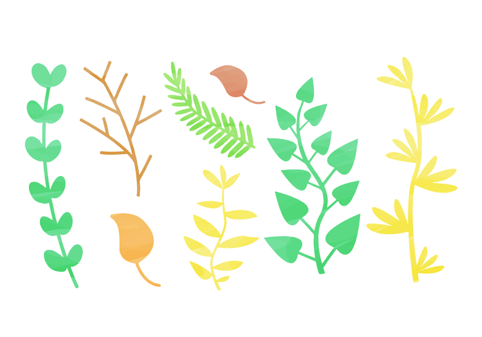 Free Watercolor Natural Elements vector