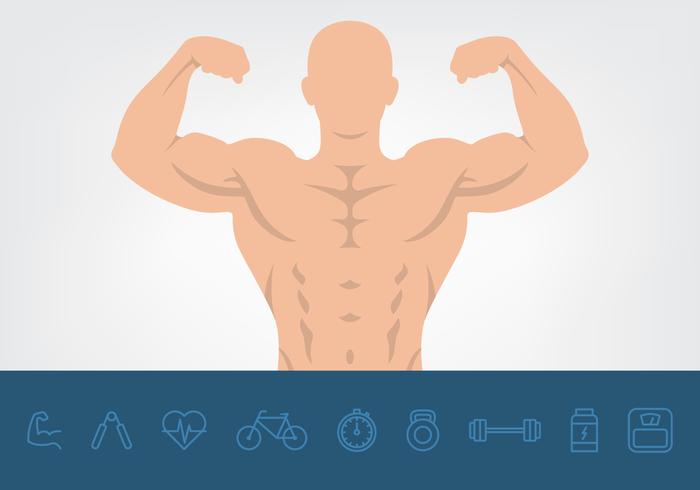 Muscle And Health Icons Set vector