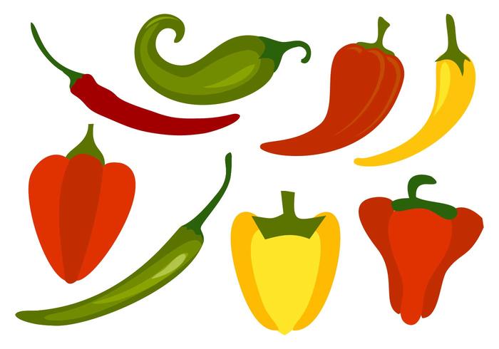 Chili Peppers Vector
