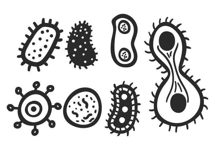 Mold vector set