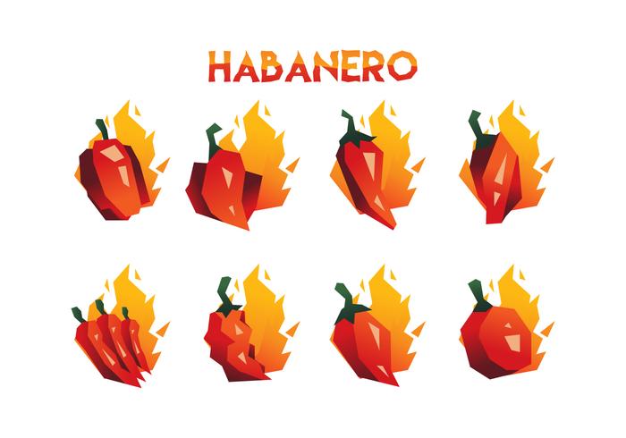 Colección libre del vector del habanero