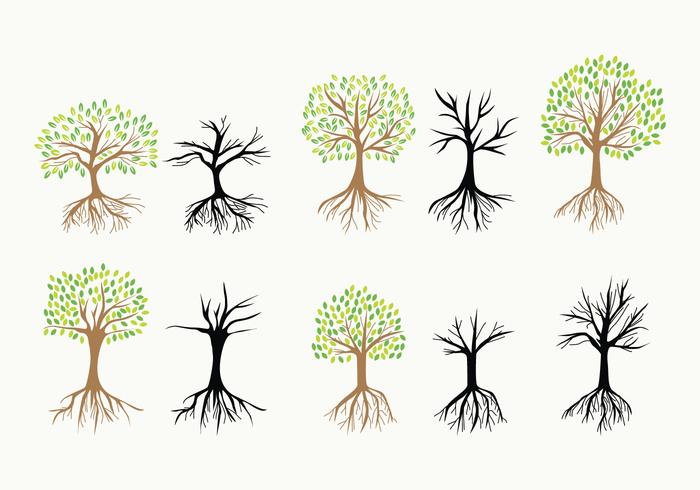 Árbol con los iconos del vector de las raíces