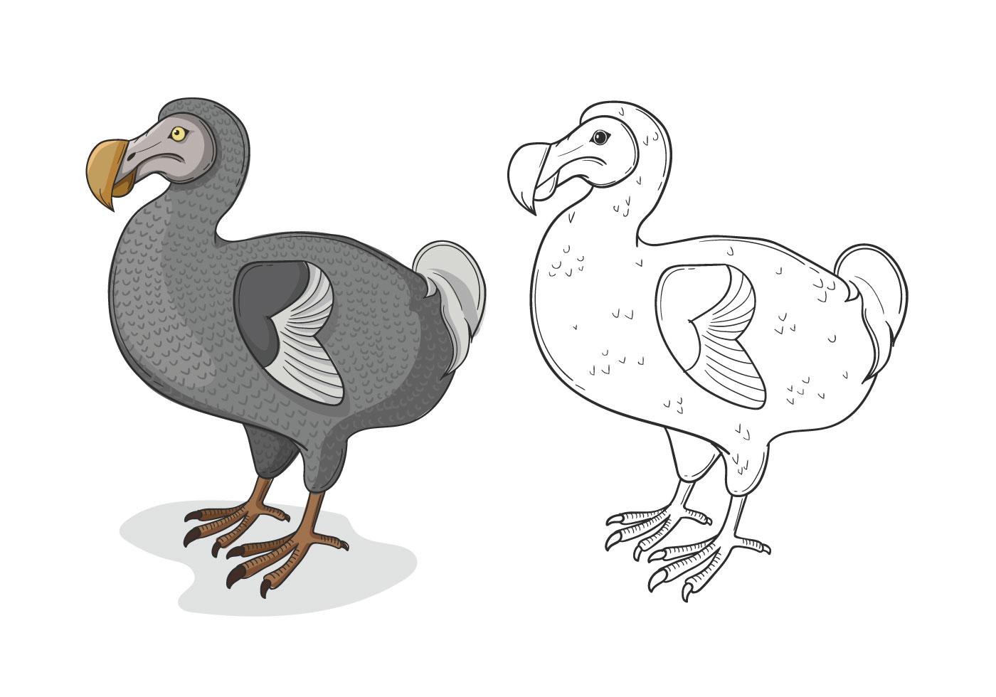 cartoon dodo bird drawing cartoon dodo bird drawing