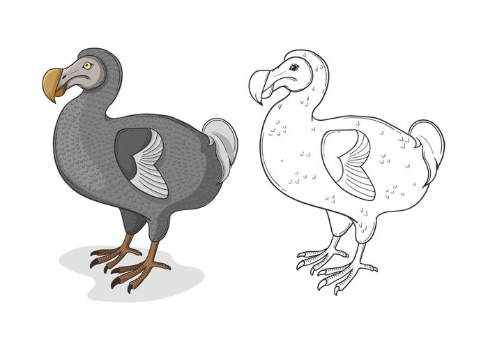 Grey Dodo Bird Illustration vector