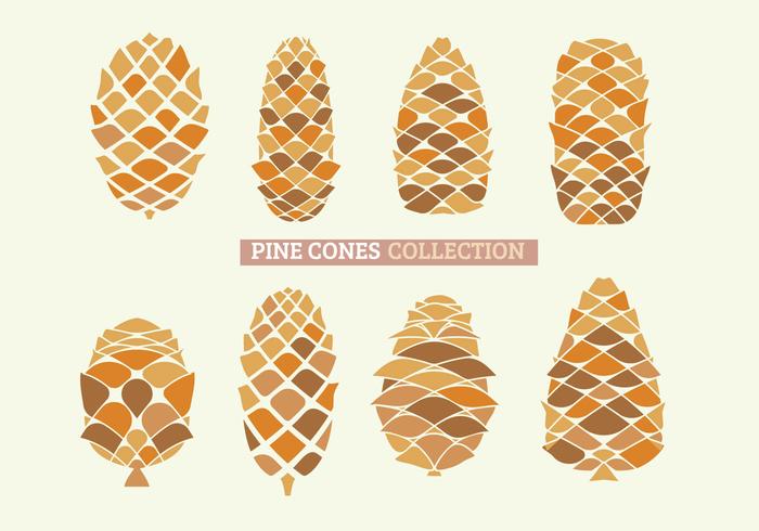 Set of Close Up of Pine Cones with handdraw Set of Close Up of Pine Cones with handdraw