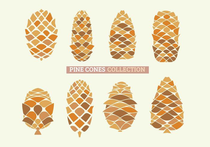 Set of Close Up of Pine Cones with handdraw vector