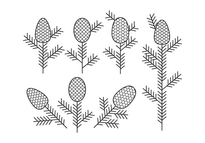 Flat Outline Pine Cones elements. vector