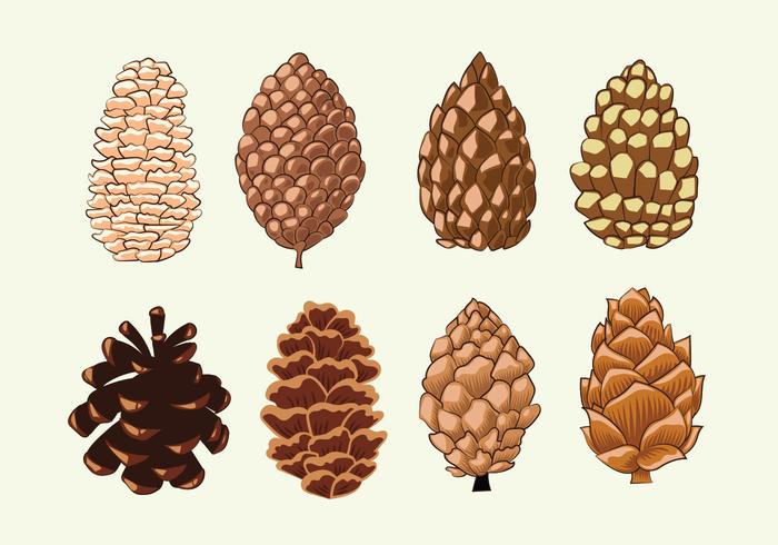 Pine Cones Set Collection vector