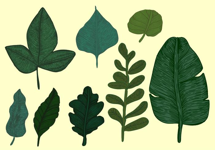 Premium Vector  Set of pretty flat botanical leafs in vintage retro color