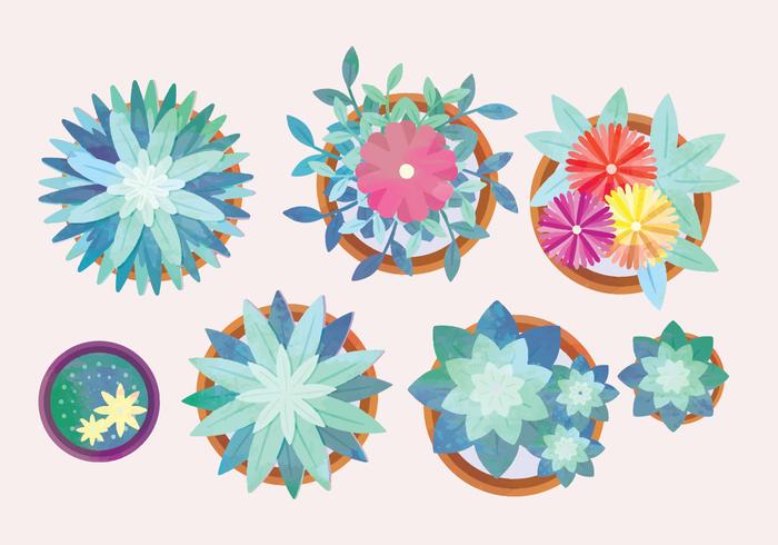 Vector Watercolor Potted Flowers Collection