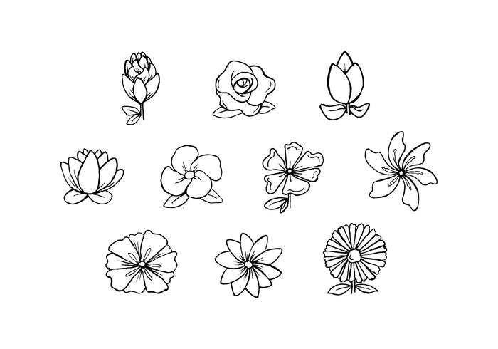 Free Flowers Hand Drawn Vector