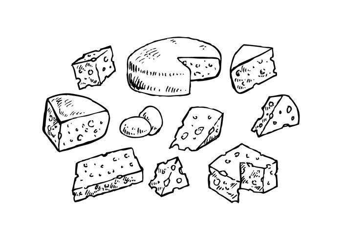 Colección de queso para tablero de charcutería Vector