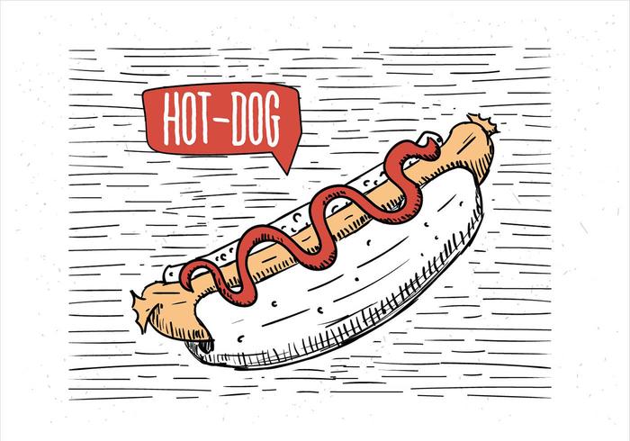 Mano libre dibujado Vector Hot-Dog ilustración