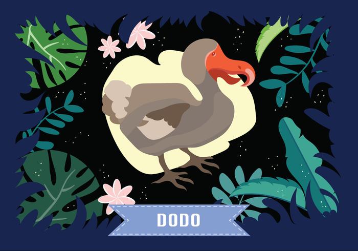 Dodo aves ilustración vectorial vector