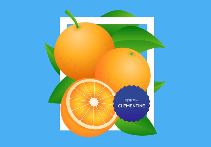 Free Clementine Vector Background