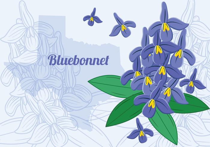 Flor de Bluebonnet de Tejas vector