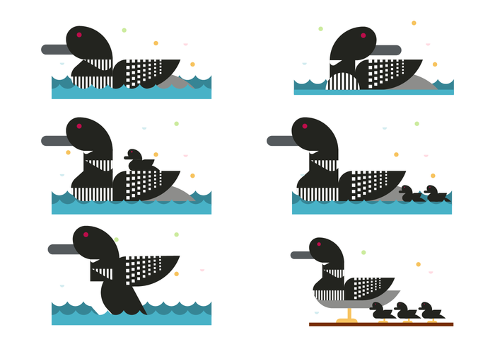 Loon pato vector