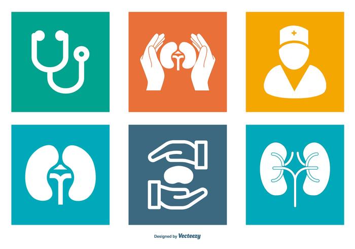 Urology Related Icon Collection vector
