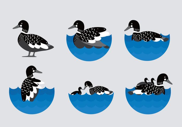 Black Loon Illustration Flat Vector