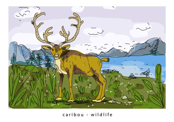 Brown Wild Caribou Background Hand Drawn Illustration vector