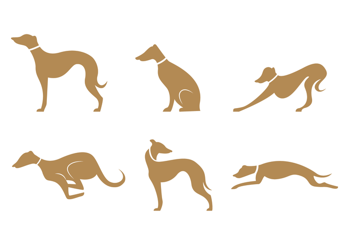 Gold Brown Whippet Silhouette Vector