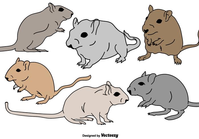 Vector Gerbil Rodent Illustrations Set Vector Gerbil Rodent Illustrations Set
