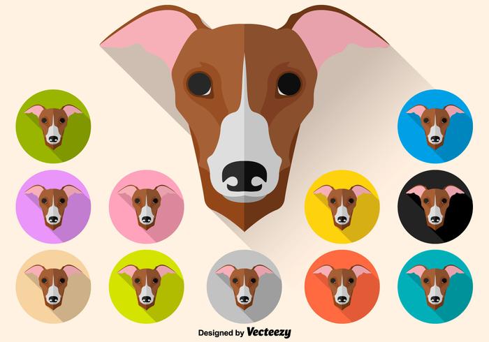 Vector Color Set Of Whippet Dog Icon