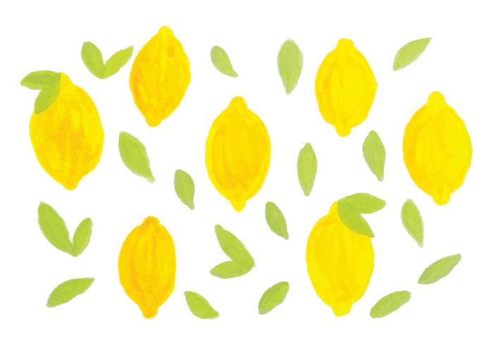 Vector Hand Drawn Lemons
