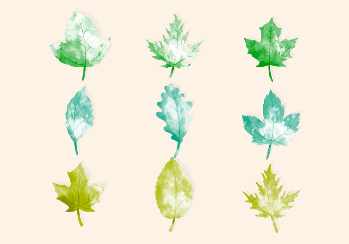 Vector Watercolor Leaves