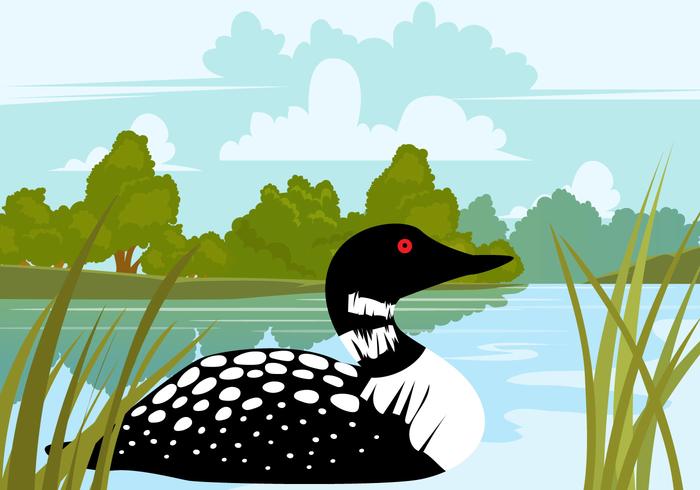 Loon Bird In the Lake vector