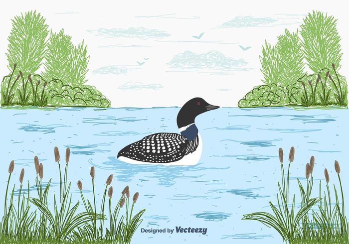 Loon Vector Background