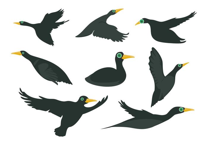 Free Black Loon Bird Vector