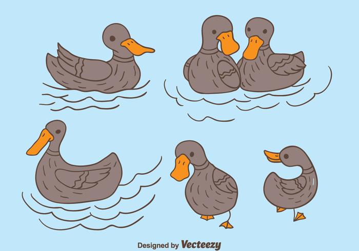 Mano Dibujado Loon Duck Vector
