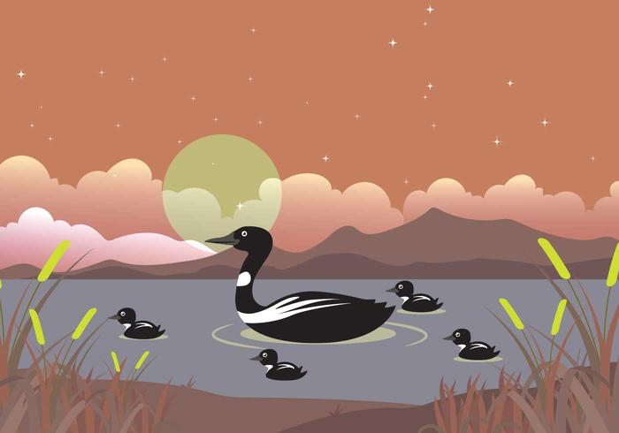 Loon Family On Lake Illustration vector