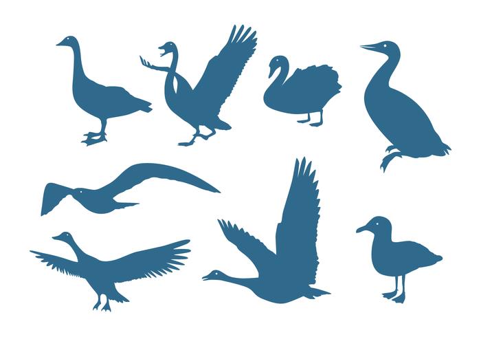 Siluetas de aves acuáticas vector