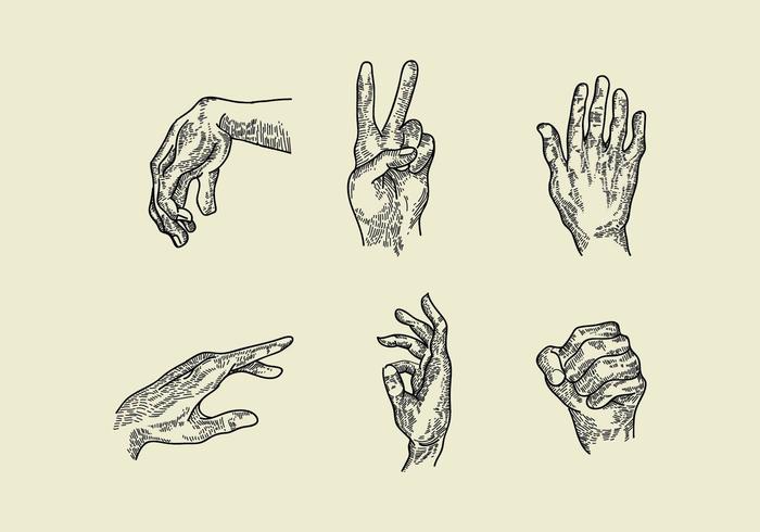 Hand Gravure Vectors