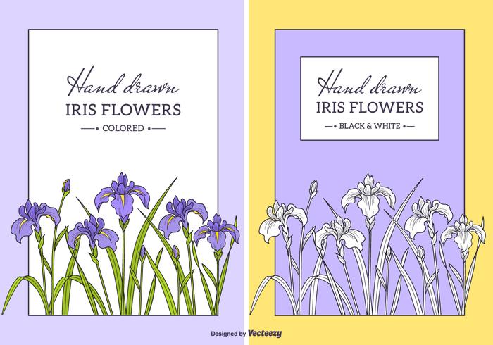 Hand Drawn Iris Flowers Vector