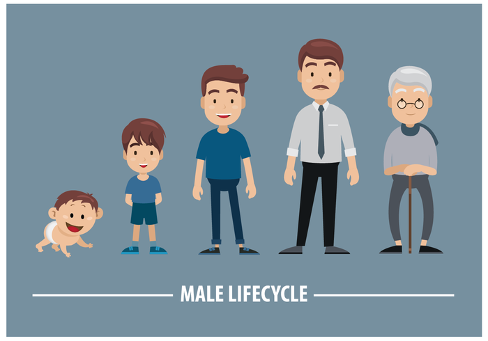 Vector libre del ciclo de vida masculino