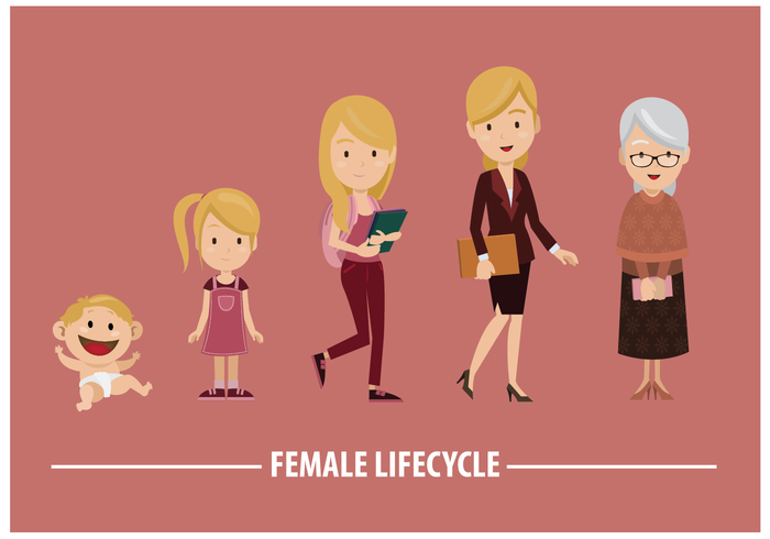 Vector femenino libre del ciclo de vida