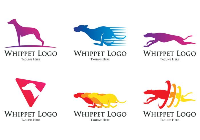 Logotipo del perro de Whippet vector