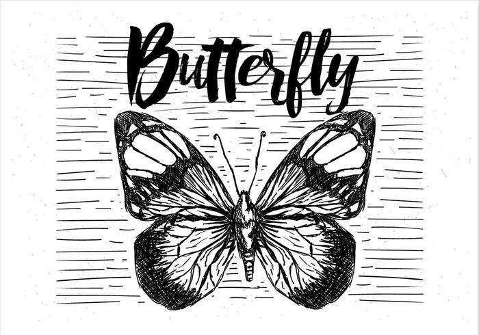 Mano libre dibujado ilustración vectorial mariposa vector