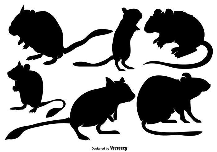 Vector Colección De Siluetas De Gerbil Roedores