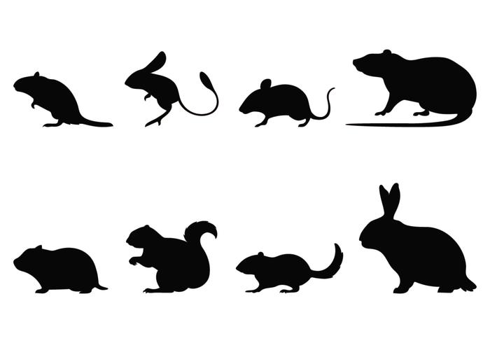 Siluetas de roedores vector