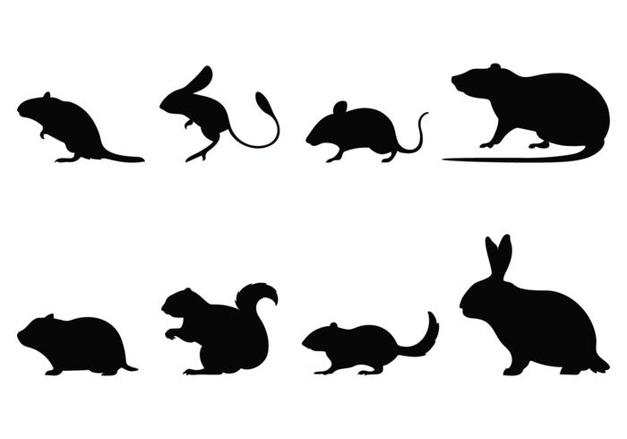 Rodent Silhouettes Rodent Silhouettes