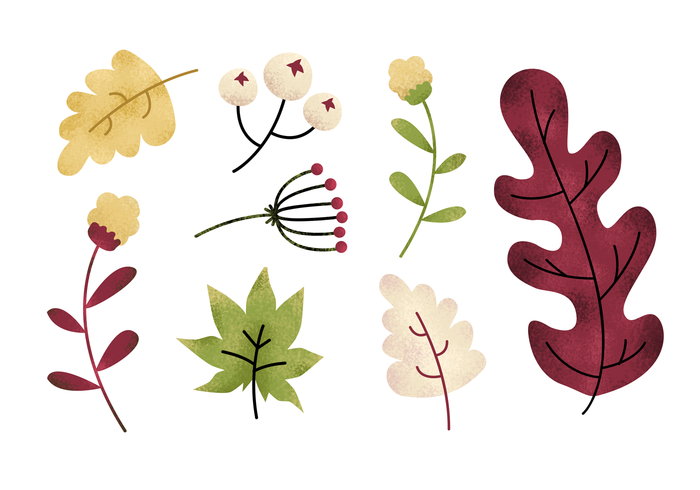 Free Grainy Natural Elements vector