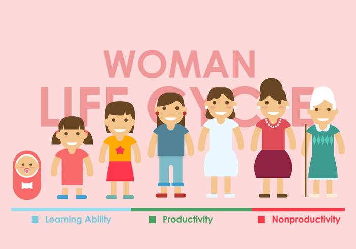 Woman Lifecycle Vector Woman Lifecycle Vector
