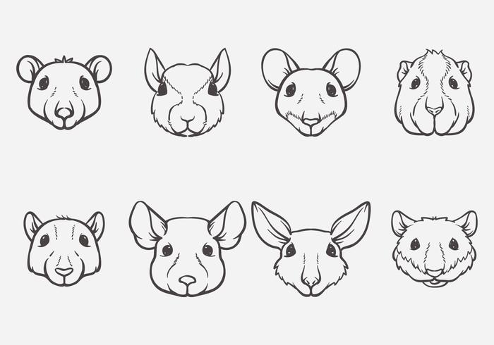 Rodent Head Vector Rodent Head Vector